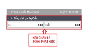 Kèo chẵn lẻ thẻ phạt dựa nhiều vào may mắn