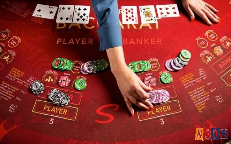 Tỷ lệ thưởng của từng cửa trong Baccarat cũng có sự khác biệt