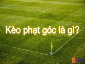 Kèo phạt góc 1×2 là gì? Hướng dẫn cách cược kèo 1x2 chi tiết